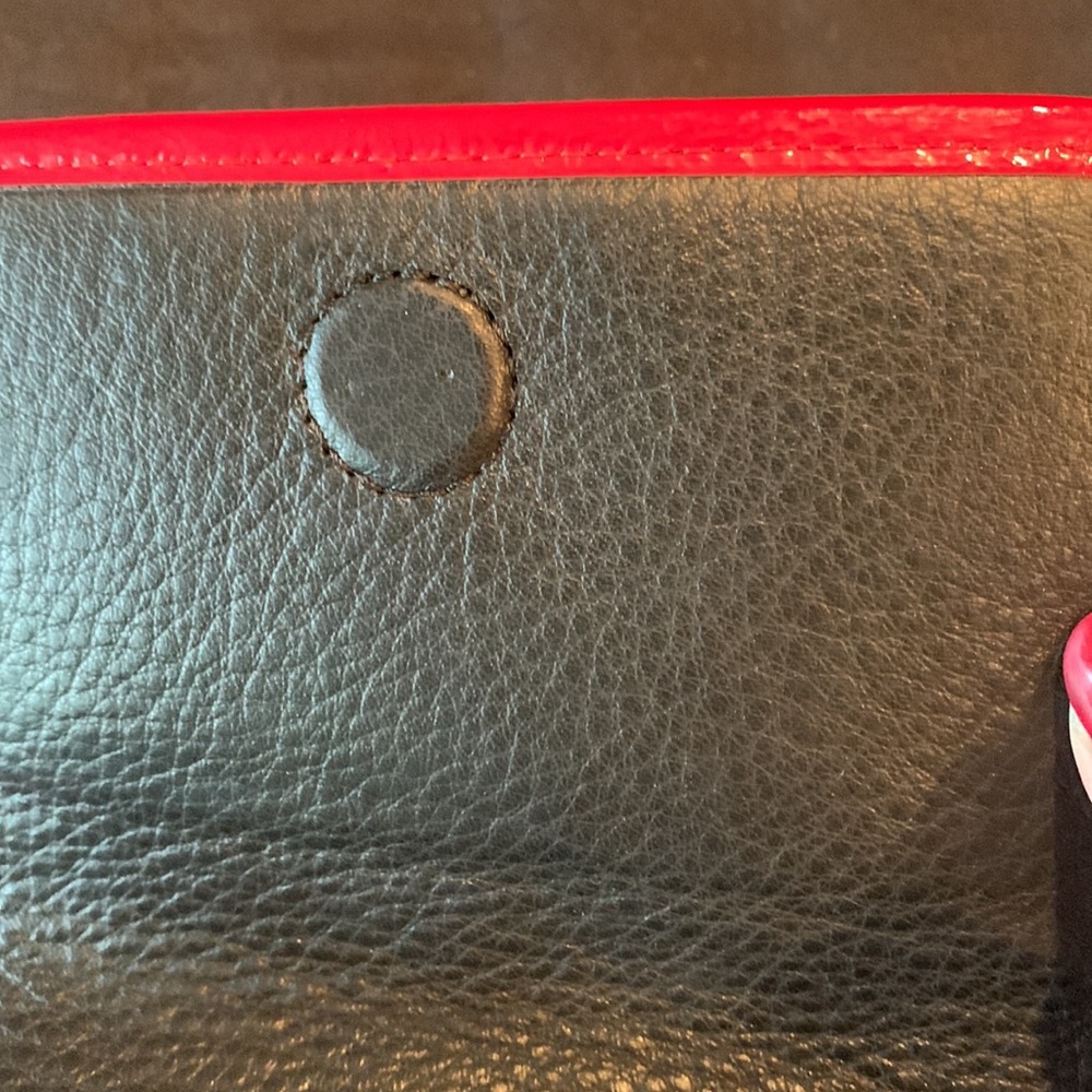 Brighton Mini Crossbody - Picture 6 of 15